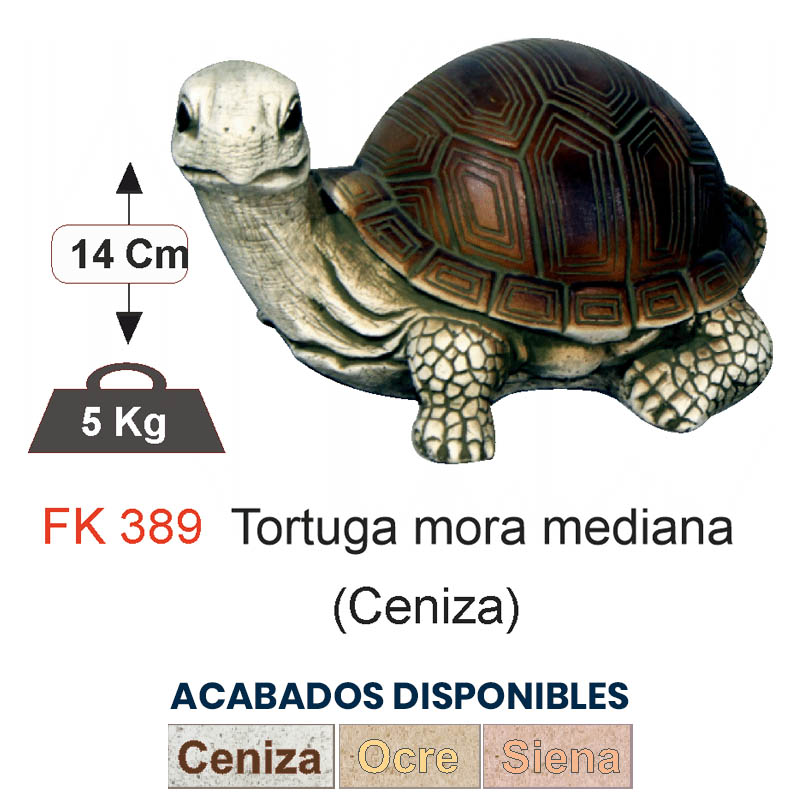 TORTUGA MORA MEDIANA (CENIZA)