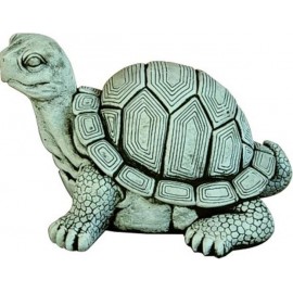 TORTUGA MORA MEDIANA (CENIZA)