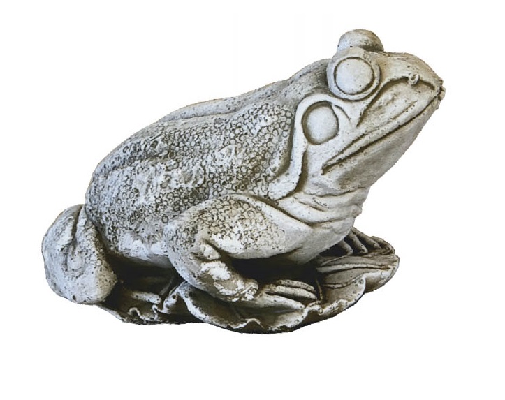 RANA GRANDE (CENIZA)