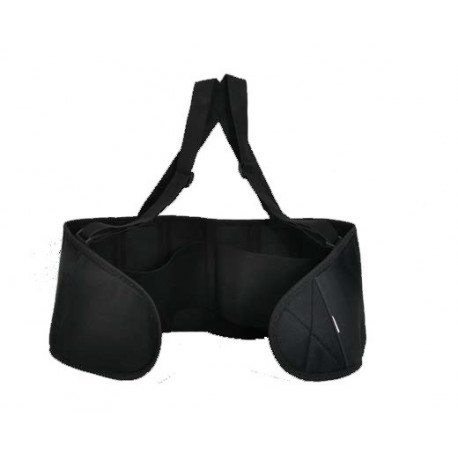 PROTECTOR LUMBAR PRO - TALLA L
