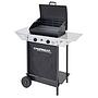 BARBACOA A GAS XPERT 100 L